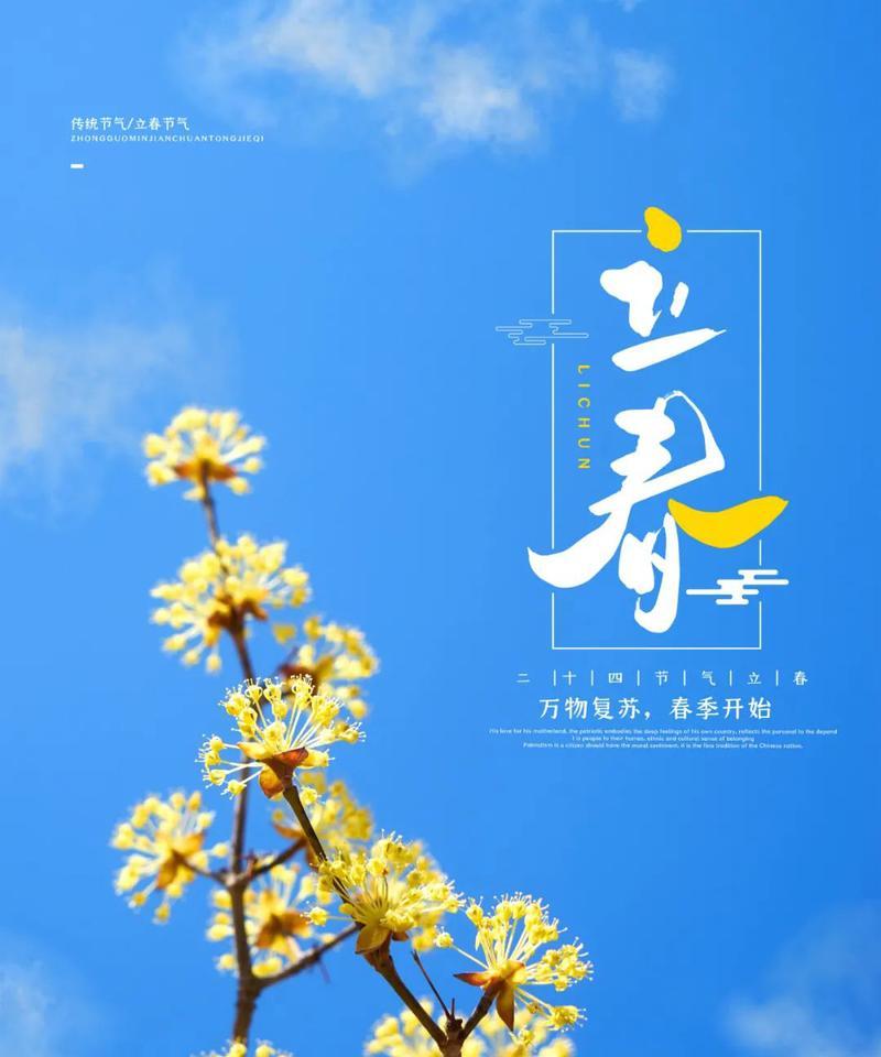 关于立春的霸气说说（春意盎然-立春优美句子说说语录）