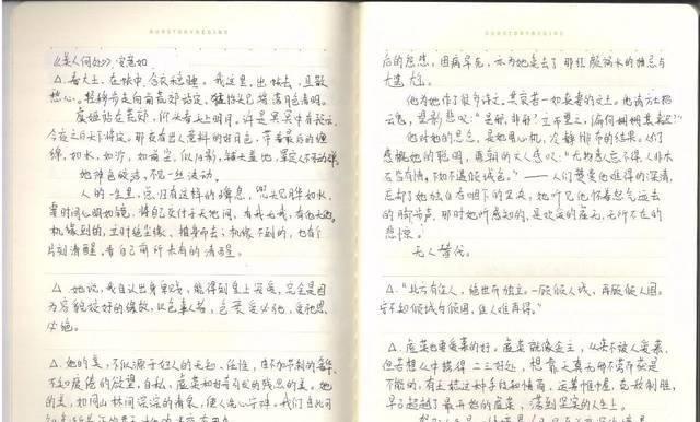 礼仪佳句摘抄（以礼仪为纽带，传递美好情感）