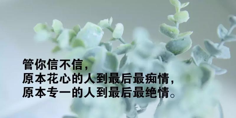 开心幸福说说心情短语（春暖花开，心情美好）