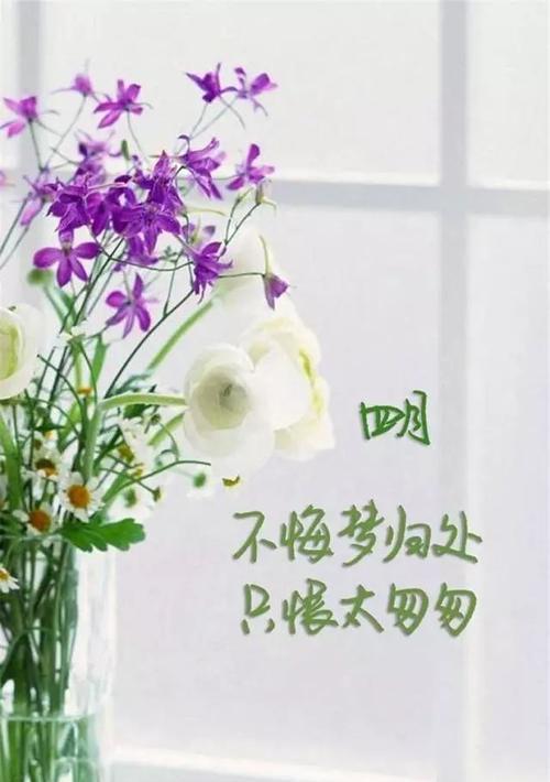 开心幸福说说心情短语 经典心情短语（《幸福的微笑》）