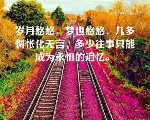 有关开心的句子经典的短句（《开心无比》——用快乐点亮生命）