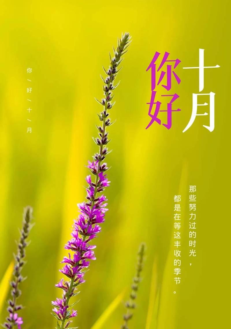 九月再见十月你好的说说句字（《九月悄然离去，十月静待绽放》）