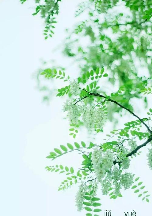 九月份你好的说说（九月心情，美好生活）