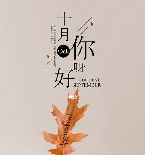九月你好发朋友圈的精美句子（绽放在2023年的唯美短句）