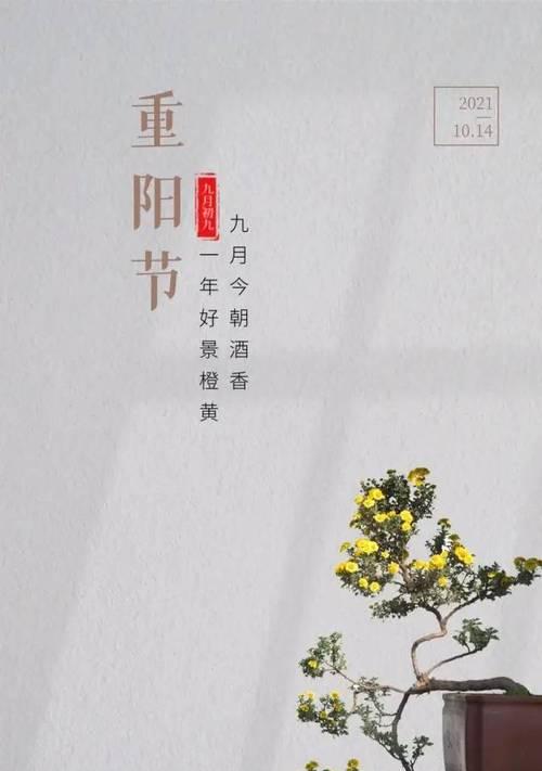 九九重阳节语句大全（九九重阳节经典话语）