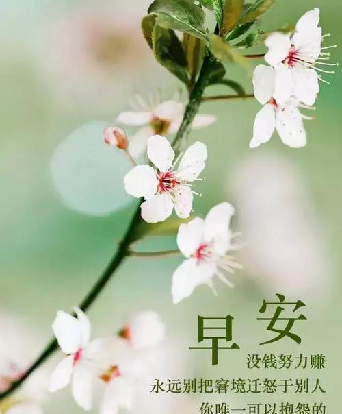 精致女人早安语录短句（清晨，精致女人的开始）