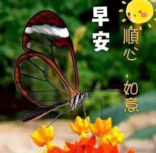经典简短早安问候语（给你一个美好的早晨）