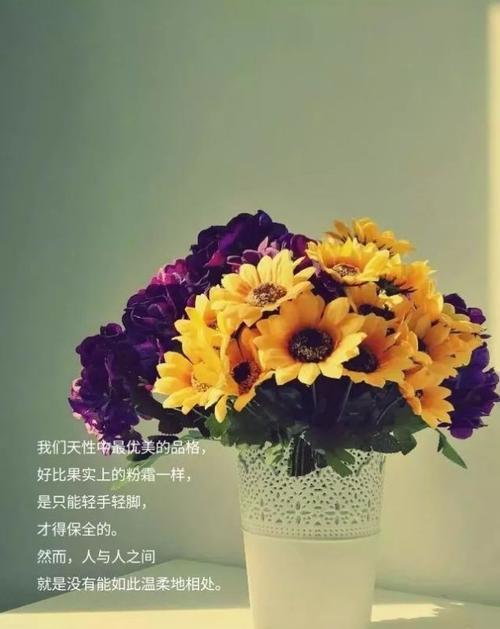 关于经典的说说心情短语（以三姐妹在一起的经典说说唯美句子为主题写一篇短文）