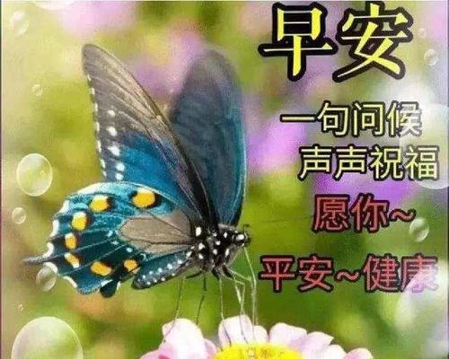 有关今日霜降暖心问候语的句子简短（今日霜降暖心问候语）