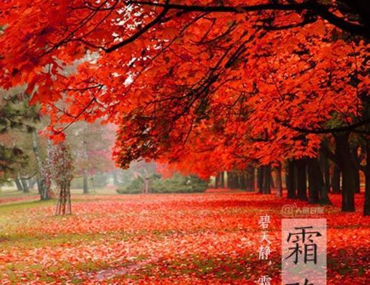 有关今日霜降暖心问候语的句子简短（今日霜降暖心问候语）