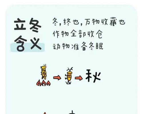 关于今日立冬的唯美句子（冬季美好的开始）