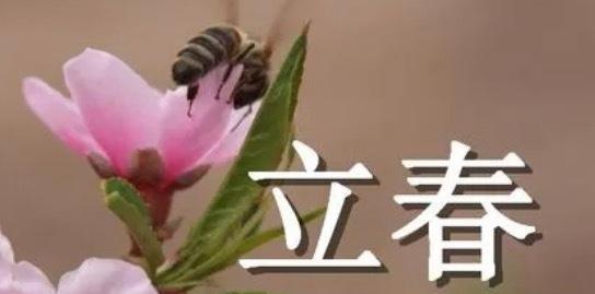 今日立春的话语（迎接春天的到来——以立春祝福语为主题的唯美短句）