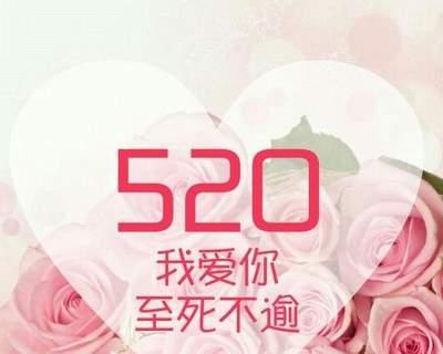 520表白浪漫句子（用唯美短句诉说爱意）