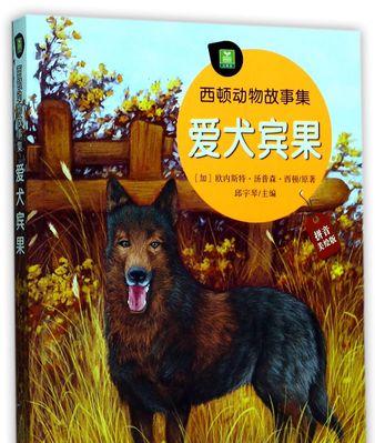 关于动物的故事作文600字（《小狗和小鸡的故事》）