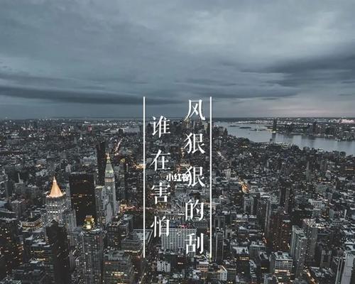 在没有的日子里作文600字作文怎么写（《离开这个世界也无所谓》）