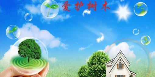 有关保护树木的作文500字左右（《保护树木》）