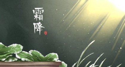 关于霜降的句子和诗句（《霜降》——秋意渐浓，大地沉寂）