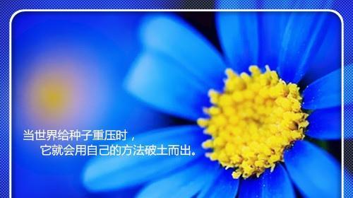 有关关于人生积极面对的名言的好句（唯美短句点亮人生之路）
