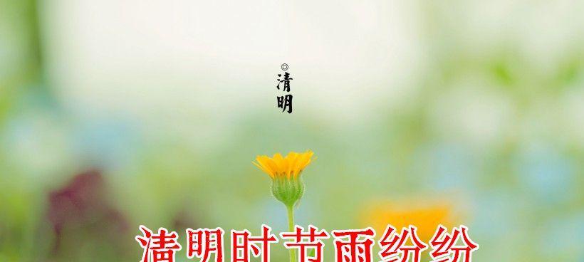 关于清明节的佳句有什么（关于清明节的句子）