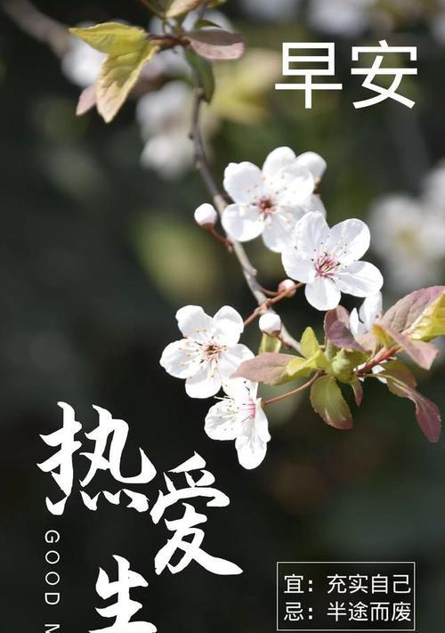 青春正能量的句子经典语句（青春正能量，让美好永驻）