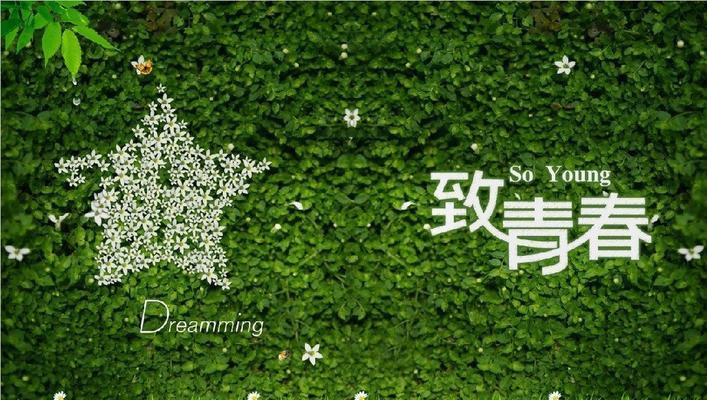 有关关于青春疯狂的唯美句子简短的好句（青春疯狂：缱绻时光）