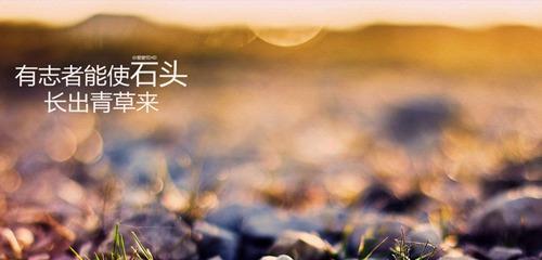 关于勤奋与坚持的名言（勤奋与坚持——追逐梦想的力量）