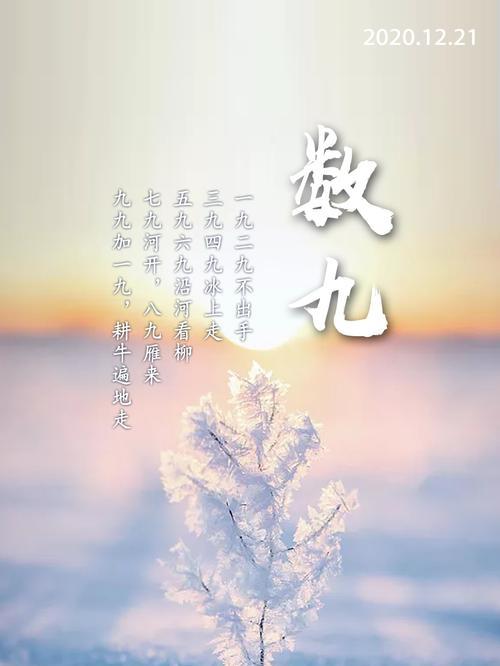 关于冬至的优美暖心句子（《冬至的美丽》）