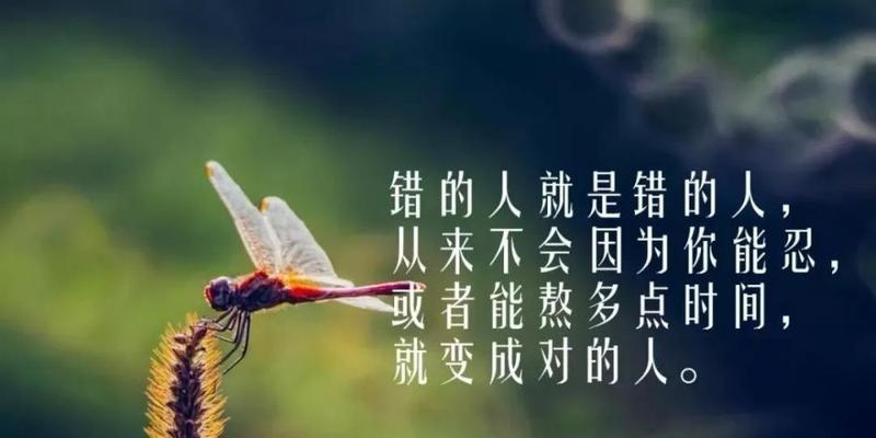 哲理短句子精辟初中生（初中哲理经典，浅析生命意义）