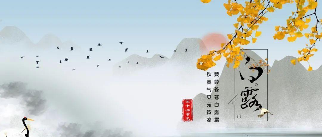 有关关于白露的诗句的好句摘抄（白露之美）