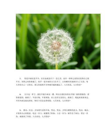 有关关于八月过去九月到来的说说的好句摘抄（关于八月过去九月到来的说说）