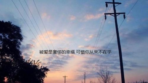 有关关于爱情受伤的句子的好句有哪些（用短句唤起深深的情感，散发出绝美的光芒）