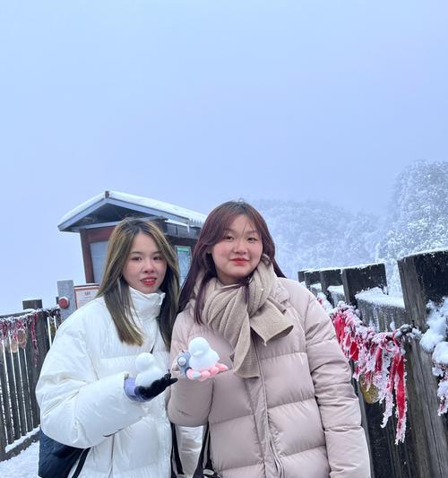 2020年的第1场雪的说说（雪中秋梦）