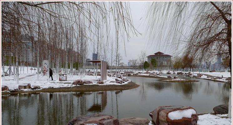 2020年的第1场雪的说说（雪中秋梦）