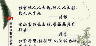 有关关爱的名言名句的句子摘抄（关爱的名言名句）