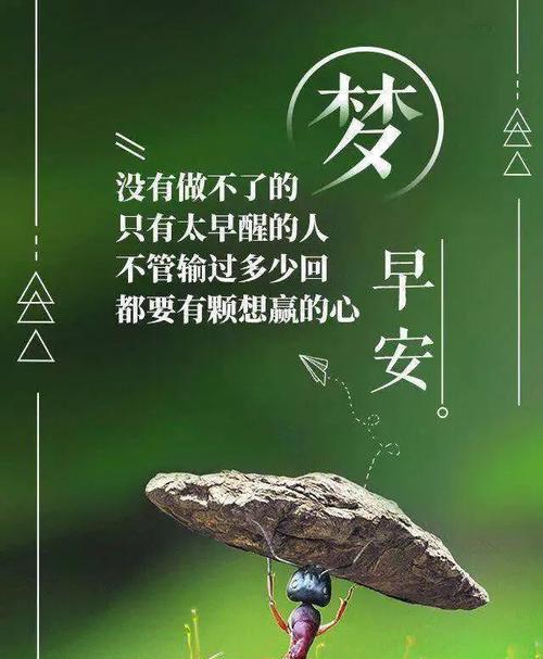 关于鼓励自己的句子说说心情（用坚强鼓励自己，走得更远）