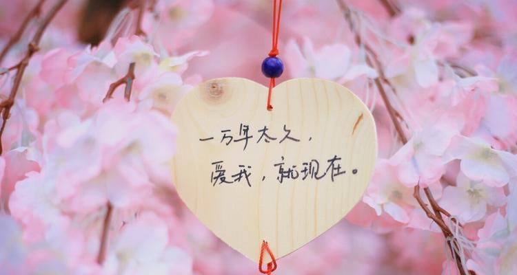 有关鼓励追求爱情的句子的句子简短（追寻爱情的美妙旅程）