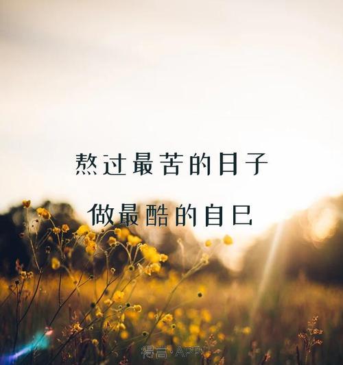 有关鼓励人艰苦奋斗的名言的好句有哪些（奋斗之美）