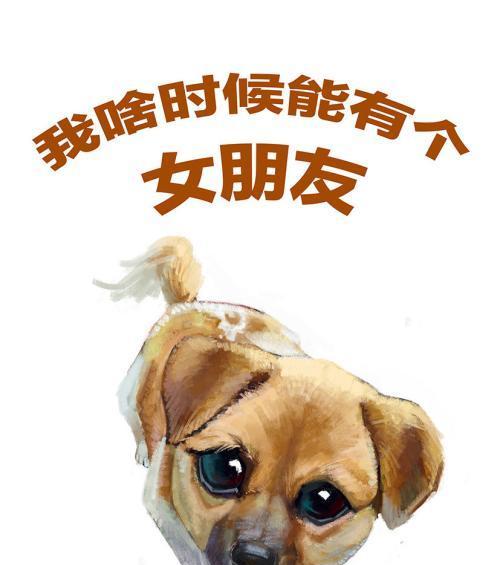搞笑逗比句子说说心情（《笑中有道——逗比文化中的幽默与哲理》）
