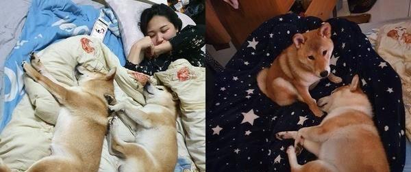 形容生无可恋的搞笑语句（搞笑的生无可恋的句子）
