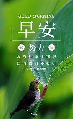 正能量激励高中生的短句子（青春正能量，用名言点亮未来）