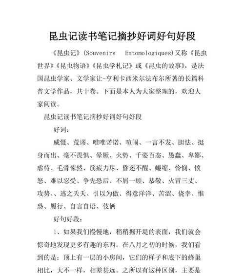 高中读书笔记好词好句（唤醒心灵的美好）