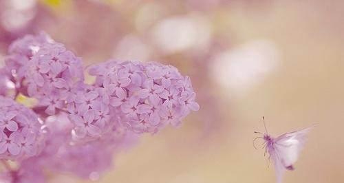 2821高考祝福语（时光荏苒，唯美祝福送给2023届高考考生）