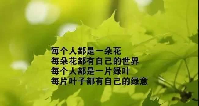 有关感悟幸福课程的句子的好句摘抄（用心感受，珍惜当下）