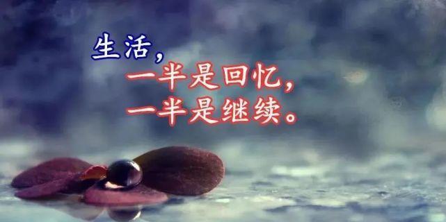 有关生活感悟的摘抄（唯美短句，感悟生活——探寻生命的真谛）
