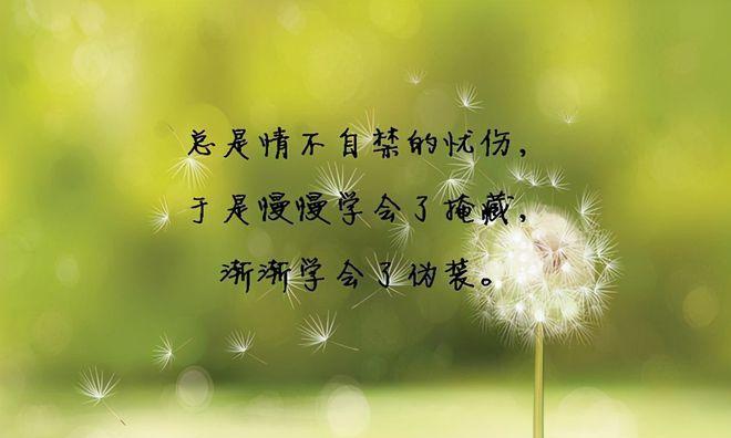 感悟人生伤心的句子（感悟人生，留下情感痕迹）