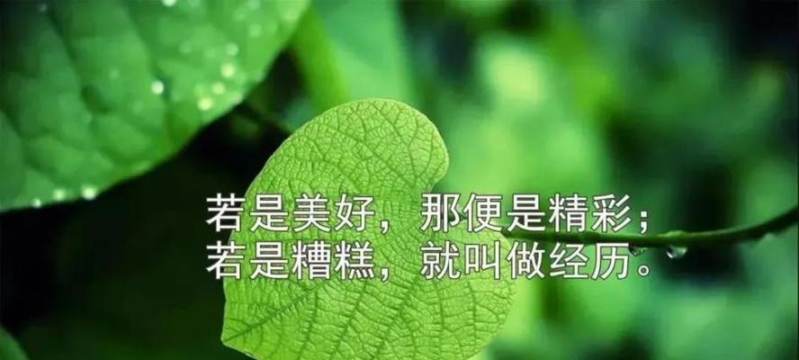 有关感悟人生的经典短句子的句子大全（细数人生感悟，领略唯美短句之美）