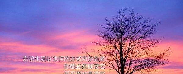 感叹人生不如意的诗句（人生苦短，何苦为难自己）