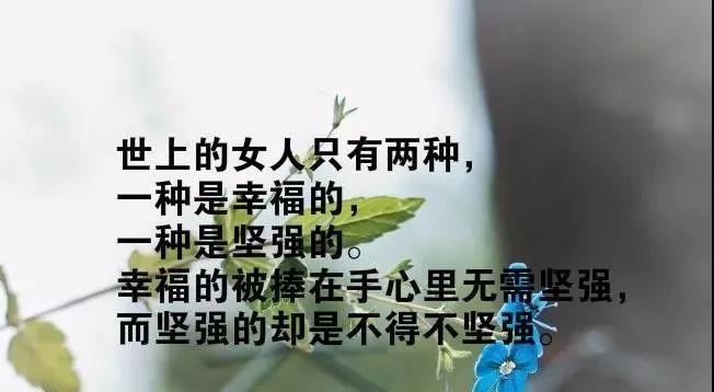 感慨励志语录（感慨人生，励志前行）