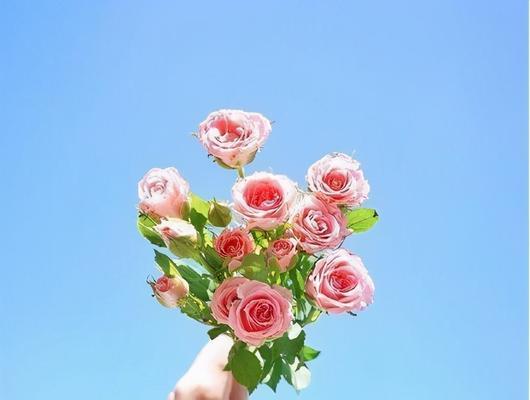 关于感恩生活的唯美句子（感恩生活的哲学：用心体验每一个瞬间）