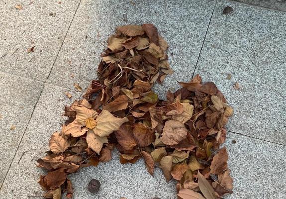 抖音立冬的句子（立冬时节，万物静默）